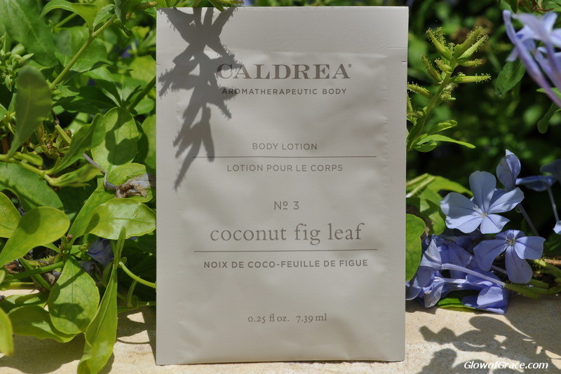 Caldrea Body Lotion (Coconut Fig Leaf)