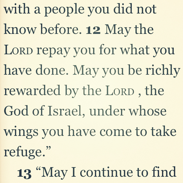 Ruth 2:12 | Daily Bible