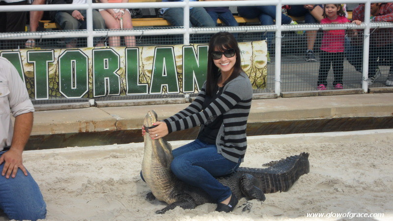gatorland(1)