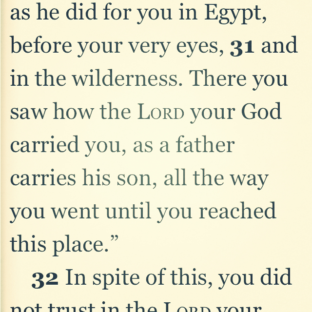 Deut 1:31 |Daily Bible 